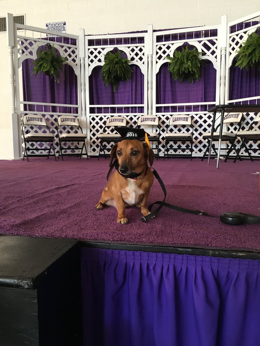 lakeviewsupe's tweet photo. Reeses can't wait for graduation today @LViewSpartan @LakeviewSparty @LHSAthleticNews @BattleCreekCity @bcenquirer https://t.co/GWfiIHQhdH