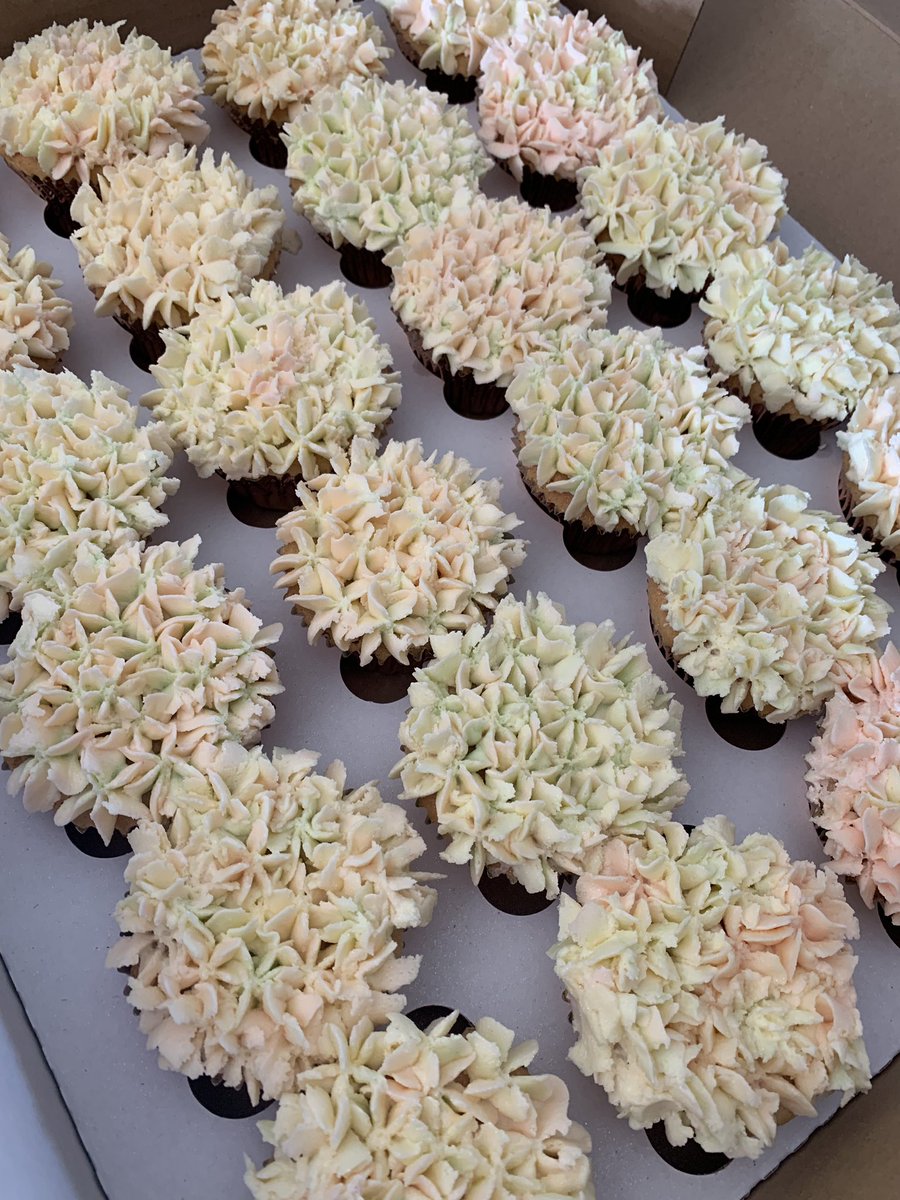 vevangelou1's tweet photo. Floral vanilla flavoured cupcakes 🧁 using @wrightsflour @SugarandCrumbs vanilla flavoured icing #hydrangea #softrose #mint #cream #christening https://t.co/9W8bdBYQDS