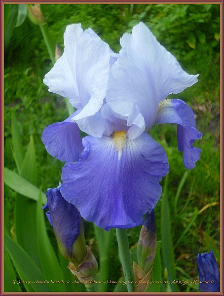 ClaudiaDelame's tweet photo. My newest Flowering Freedom Blogpost: Home everywhere. https://t.co/ReTROTGfdR https://t.co/U2Is0YA0KS