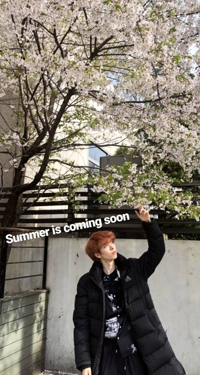 夏がもうすぐ来るね〜
一番好きな季節！