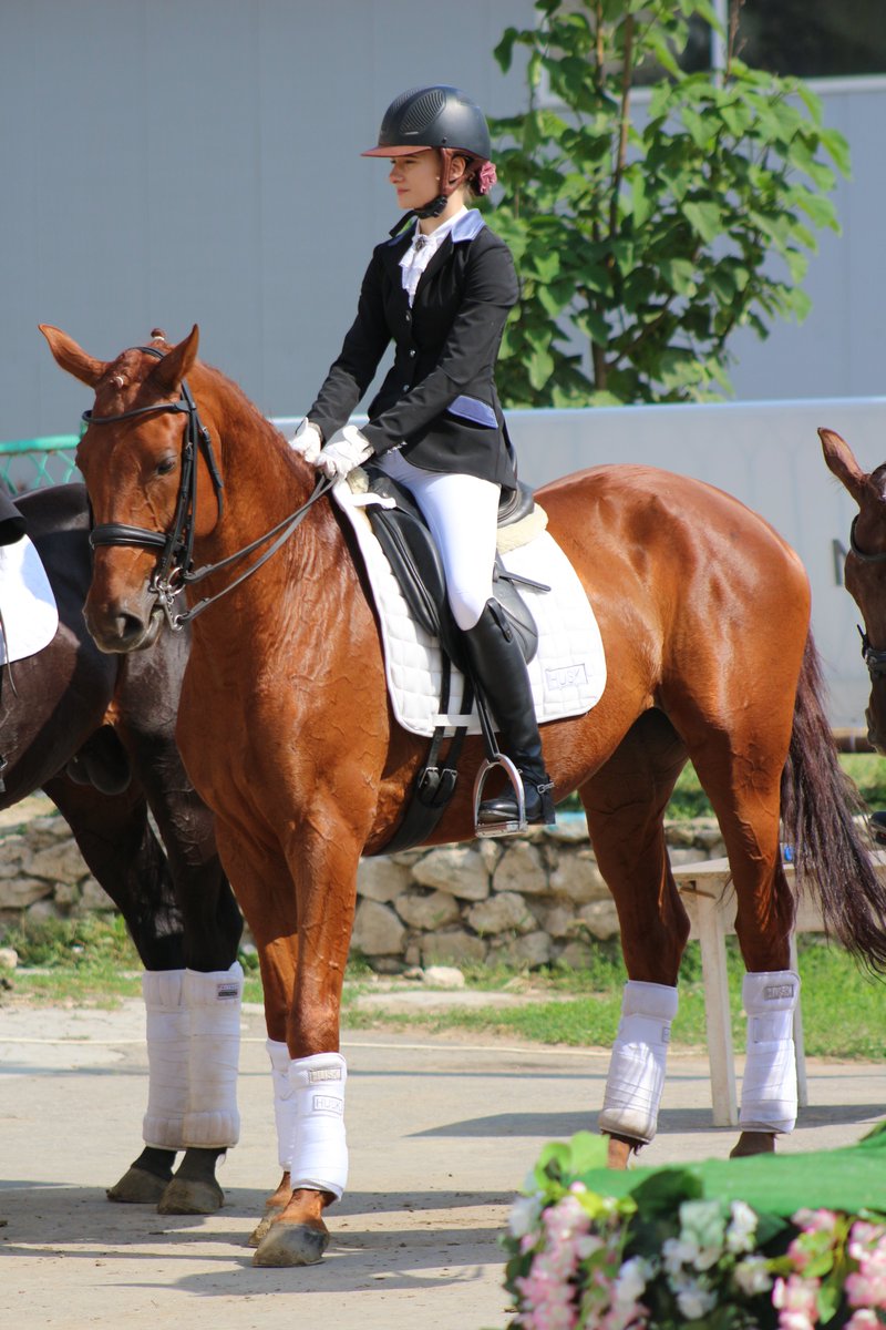 If you want something you've never had, you've got to do something you've never done...
During the #quadrille dressage performance, Agata wore the Pure #Dressage kit - including #HUSK Saddlecloth, bandages &amp; Air Liners...
View the dressage range here: thehusk.co.uk/collections/dr…