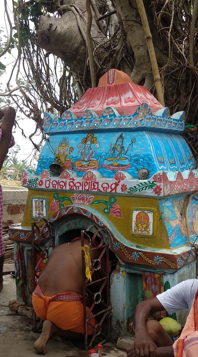 biswajitmohanty's tweet image. #CycloneFaniUpdates The furious cyclone winds tore off many branches of the banyan but failed to fell the tree or break the shrine of Trinath Baba! Every week Baba loves a kirtan with Ganja (grass) as the primary offering.
