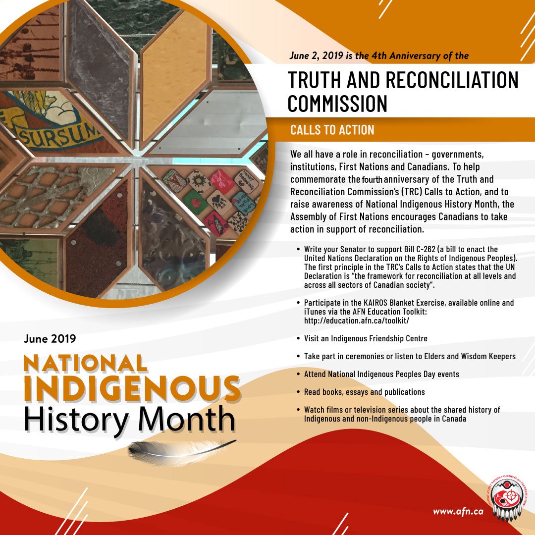 Image result for national indigenous history month 2019