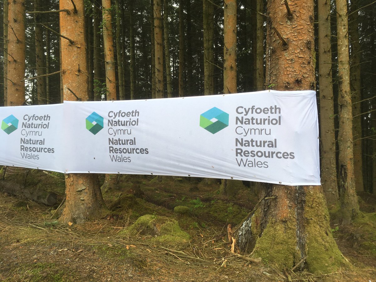 RWAS Forestry tweet media