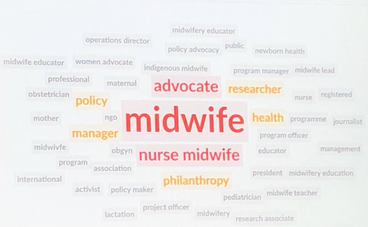 PathfinderInt's tweet photo. The self declared professions participating in the 4th annual International Midwifery Symposium. 2020 is indeed the year of the midwife. #WHO #world_midwives #WDLive #WD2019 https://t.co/b3hHxhoKNh