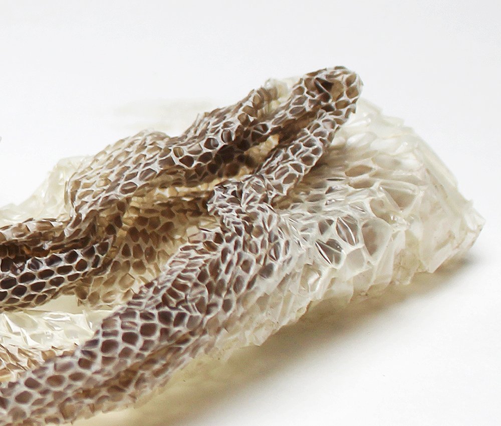 roytamdesign's tweet image. @PlymUni 3D Design graduates @DesignWithPlym will be on stands FP38 &amp;amp; FP97 at @NewDesigners 3-6 July. Designs include products for @circulareconomy, school interiors to reduce bullying, and accessories made with materials of no use, in this case snake shedding. See you there!