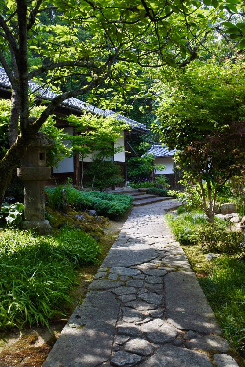 tt_kyotoguide's tweet photo. Iwaya-Ji temple in Yamashina, #Kyoto

So quiet…

#Japan #travel #京都 #日本 #岩屋寺 https://t.co/LE6Jzojs55