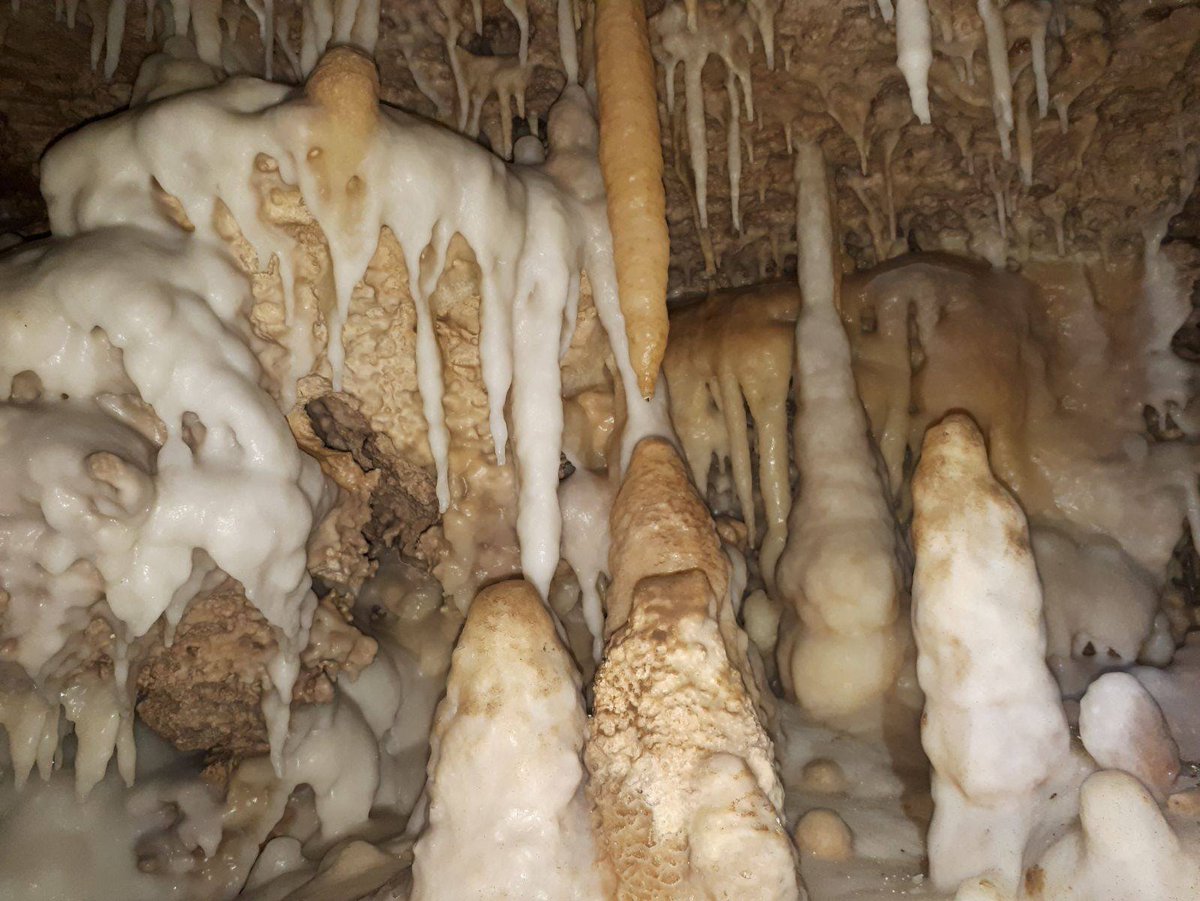 GSTalpeRieti's tweet image. #grotta delle Piane #Titignano #speleo #speleologia #speleology #GSTalpeRieti #caves #caving