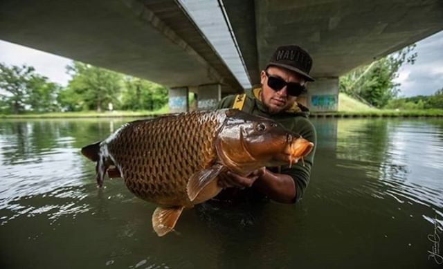 "Under the Bridge" with our man <a href="/younes/">Younes Lazrak</a>.gonzalez repping our INFIL Snapback and Hemlock Hoody with a lovely river common...⠀
#navitasangling #navitasapparel #navitas #nvts #carp #fishing #angling #apparel #outfitters #fb