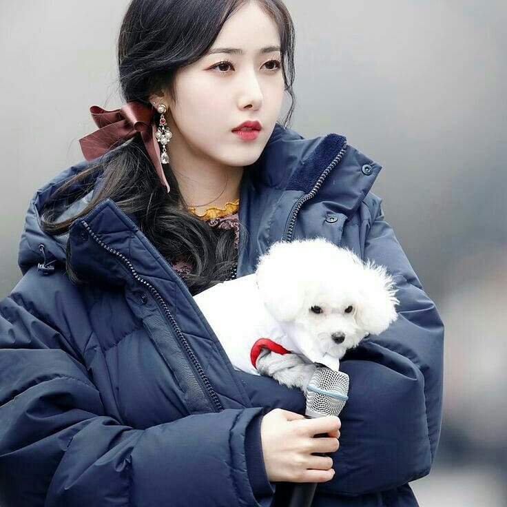 marsileajjk's tweet photo. 생일축하해 신비 언니🎉🎉
Wish u all the best
Buddy always love you💜
@GFRDofficial
#HappySinBday #SINB #thedancingmachine https://t.co/2Trb0r2N9t