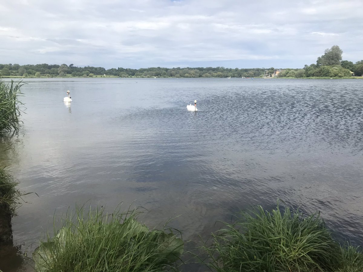 The Stunning Gunwade lake at Nene Park, Peterborough. Entries close tomorrow, book in now or miss out on the opportunity to race such a picturesque course! Go to entrycentral.com/Akamustard to enter or akamustard.events for more information. #Swimrun