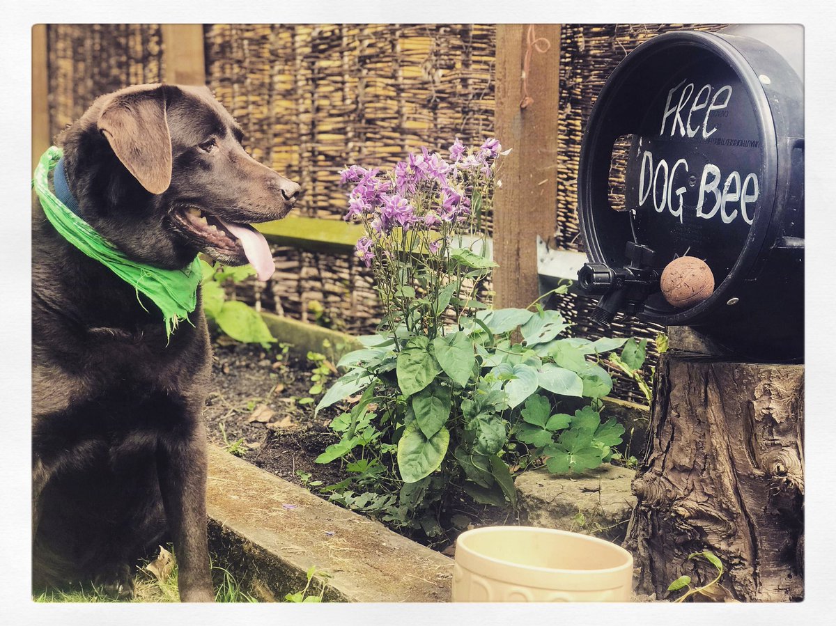 The Woolpack tweet media