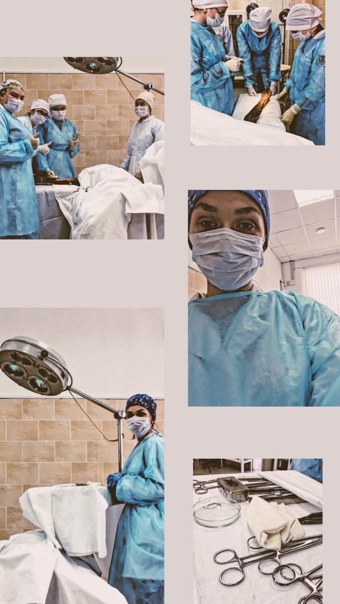 xtatax16's tweet photo. #топка #мед #surgeon https://t.co/6sIguOWEY2