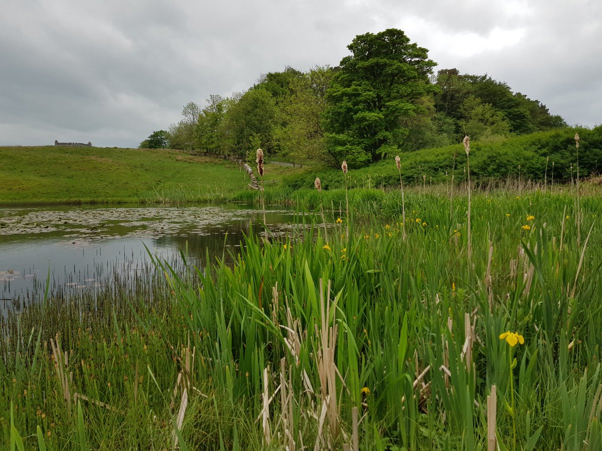 Rothley Lower Lake tweet media