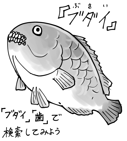 コイツ好き
#魚紹介習慣 #銛ガール 