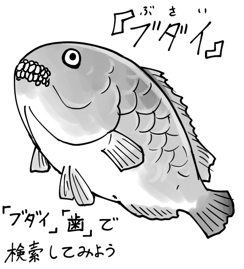 コイツ好き#魚紹介習慣 #銛ガール 