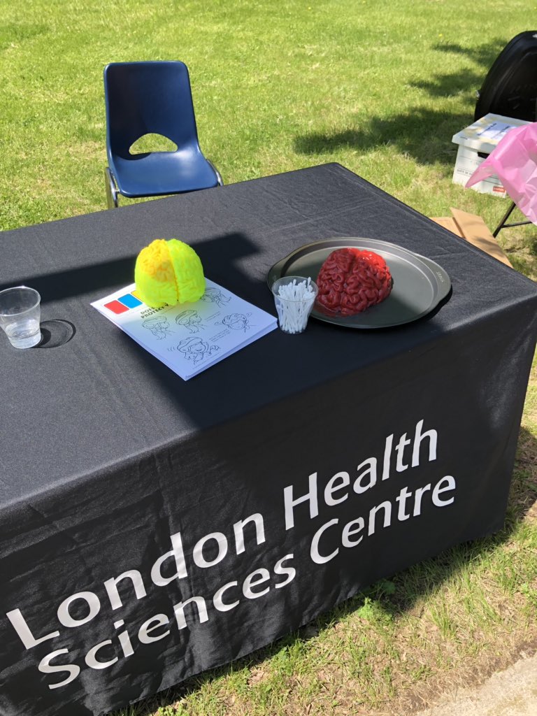 LHSCCanada's tweet image. Todays the 18th annual @YMCAofSWO Children’s Safety Village Birthday Party and our #LHSCTraumaProgram is celebrating and educating youth alongside @MLHealthUnit @TVDSB @MLPS911 Come stop by our booth to learn more about Safety whether it be at home or at play! #FallProofYourHome