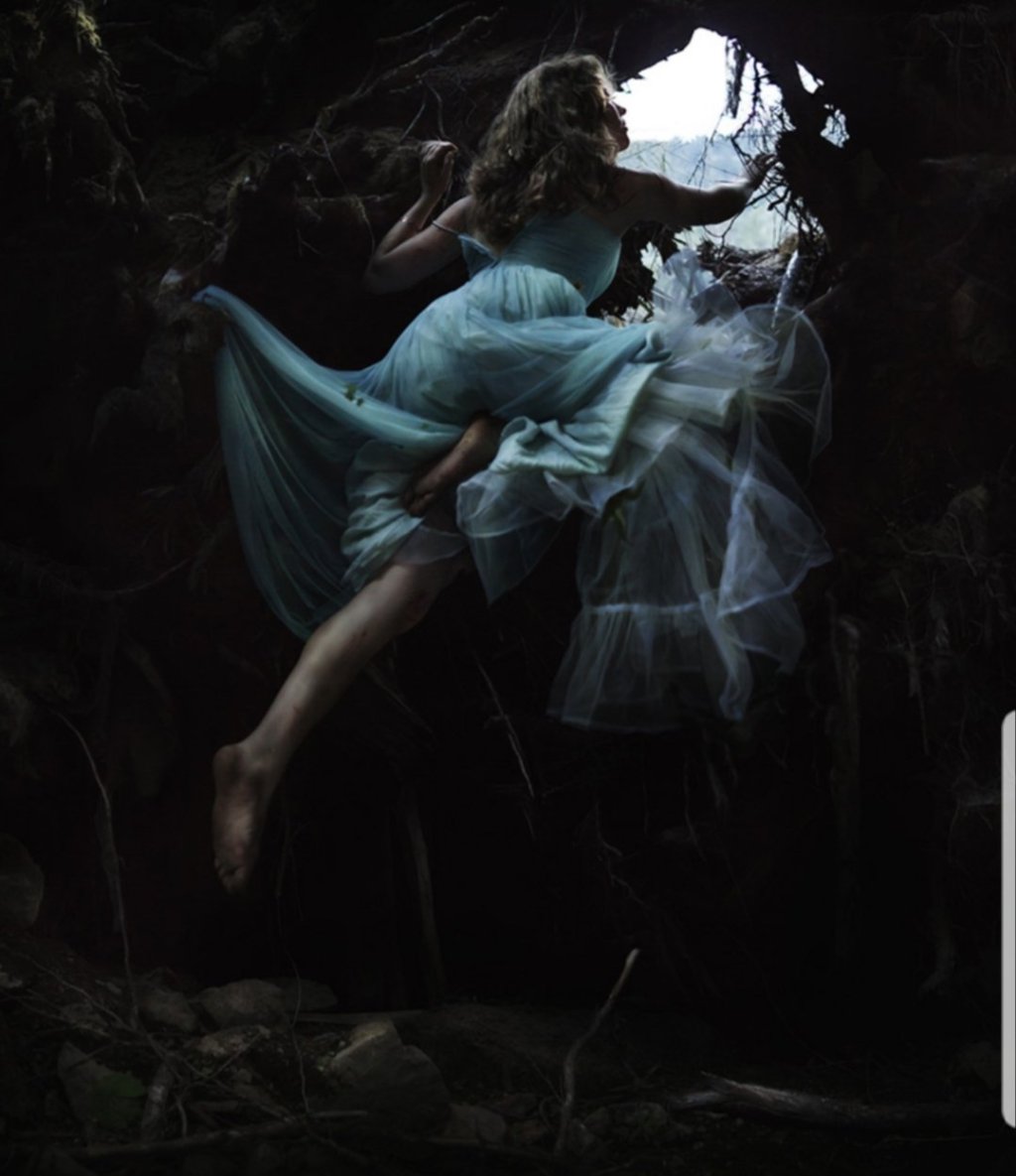 El Nido de Anneke tweet media