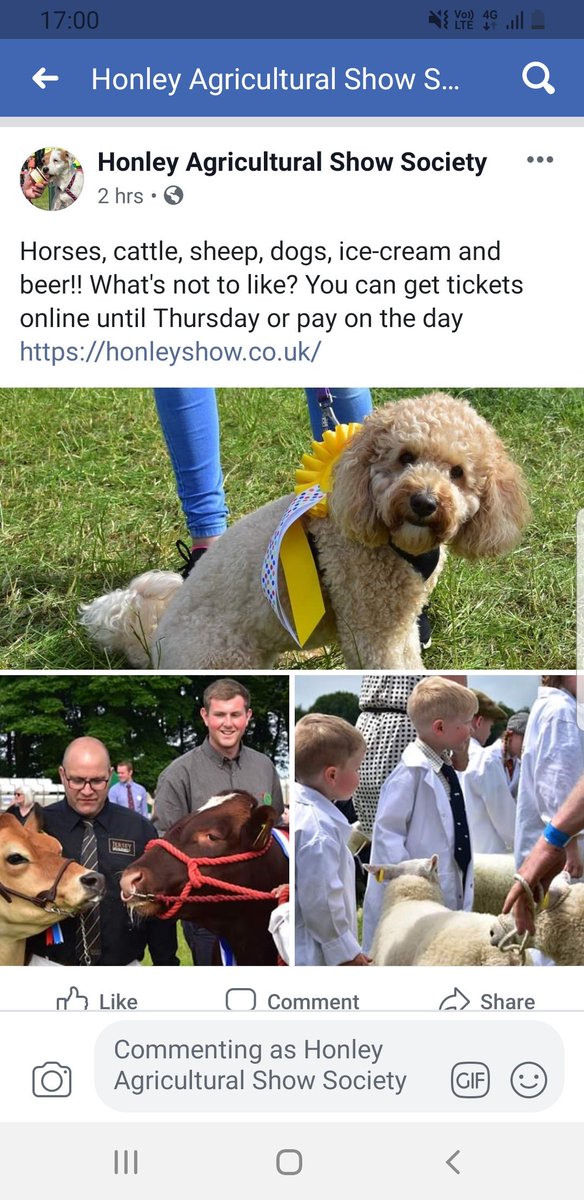 Honley Show (@honleyshow) on Twitter photo 