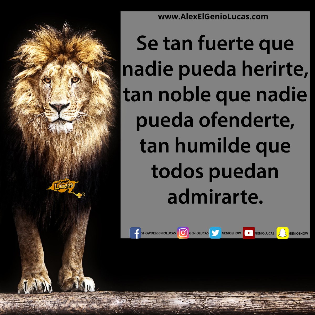 GenioShow's tweet photo. #GenioShow #alexelgeniolucas #sefuerte #senoble #sehumilde #seagradecido https://t.co/3DZYVwTjsR