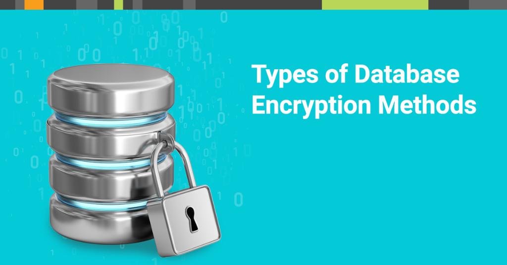 Nable's tweet image. #DatabaseEncryption is crucial for securing sensitive #BusinessData. Here’s how to balance performance and practicality when choosing an encryption method.msp.slrwnds.com/64mea