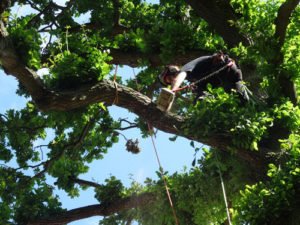 OTS Kent tweet media