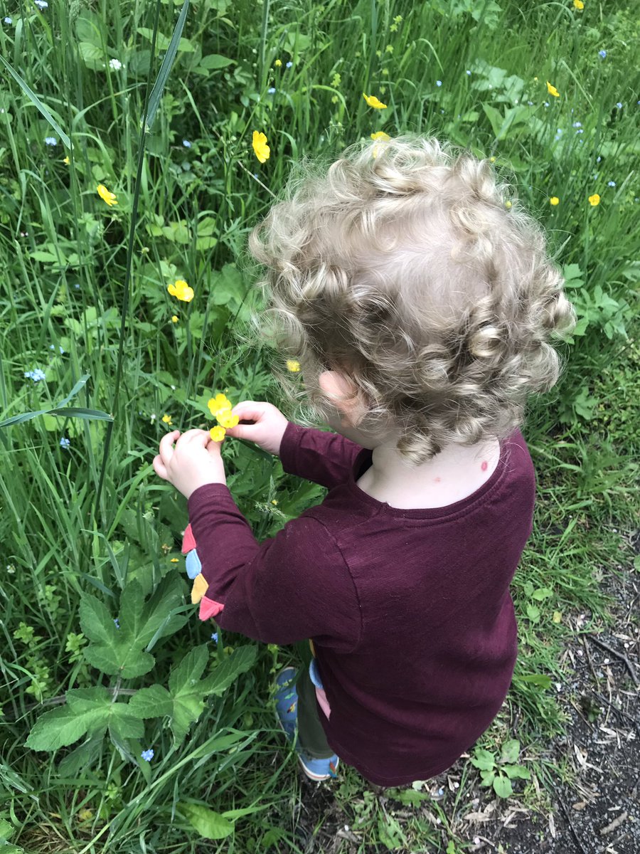 zoehull2012's tweet photo. Our #30dayswild day 2! Visit a Nature Reserve. Find a big stick and smell some wildflowers #superwild #wildchild #durhamwildlifetrust https://t.co/EqhxsFpeD1
