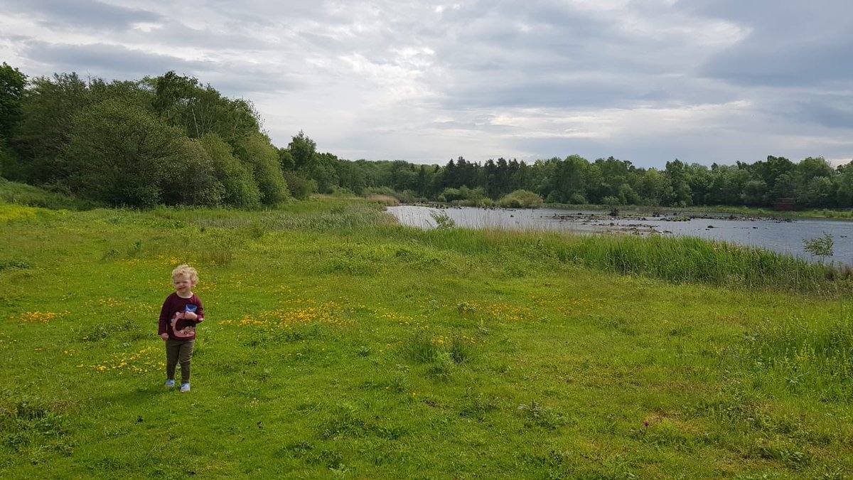 zoehull2012's tweet photo. Our #30dayswild day 2! Visit a Nature Reserve. Find a big stick and smell some wildflowers #superwild #wildchild #durhamwildlifetrust https://t.co/EqhxsFpeD1