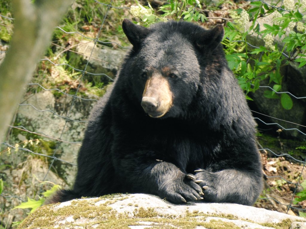 Thanks so much <a href="/rolandbastphoto/">Roland Bast</a> for organizing another fun visit yesterday to #parcomega!  #outaouaisfun