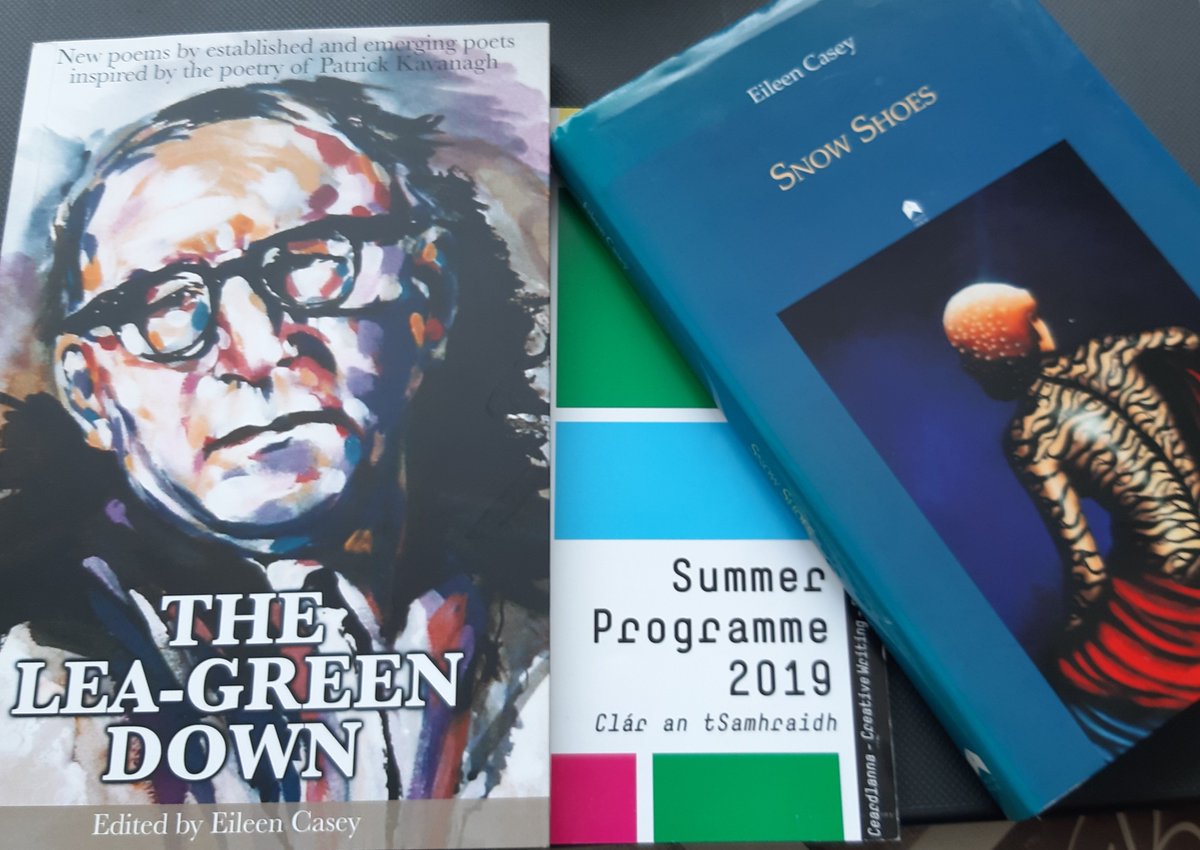 Irish Writers Centre tweet media