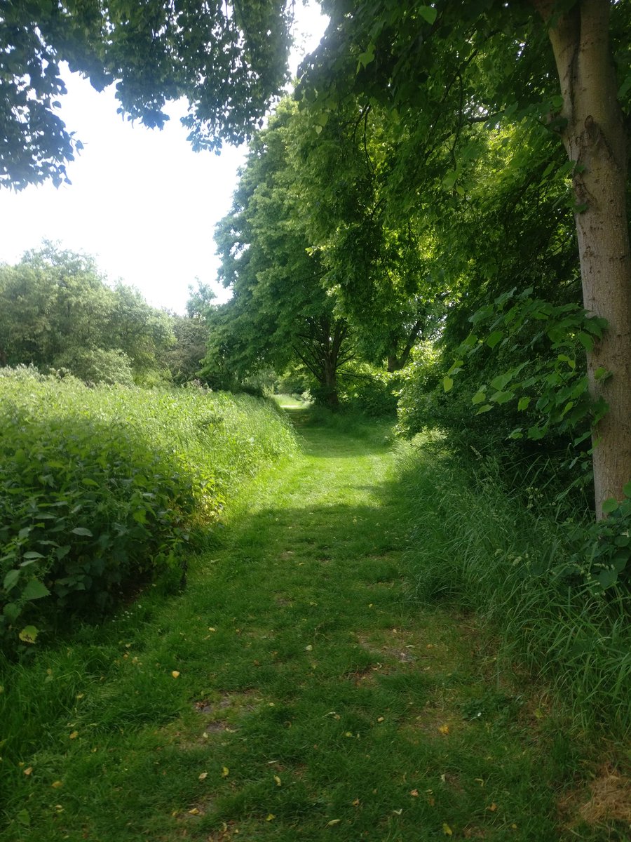 karla_parker's tweet image. 19km walk in the sunshine with @krazykaz21 in prep for our 100km @TrailwalkerUK for @oxfamgb @gwtorg in @LeeValleyPark 

#trailwalk #nature #landscape #fitness #artinnature #getoutside #hiking #trailviews #naturecapture #optoutside #outdoors