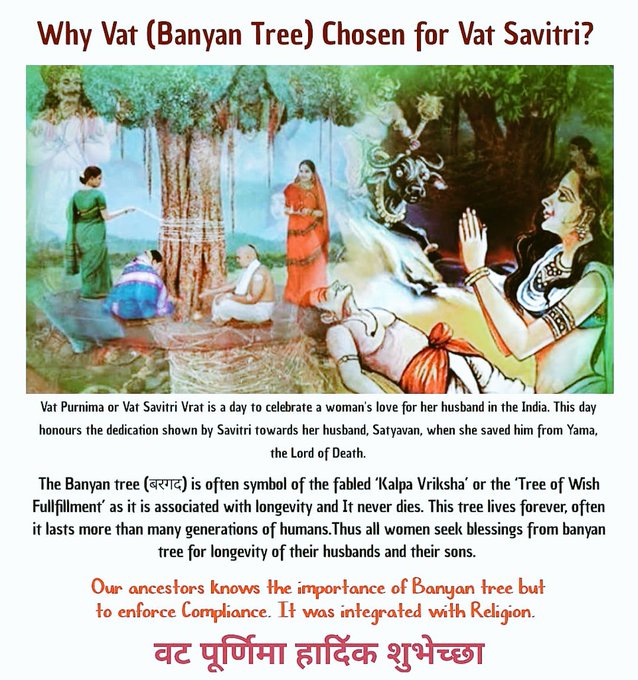 According To Legend Great Savitri Tricked Lord #Yama, The Lord Of #Death, And Compelled Him To Return The Life Of Her #husband #Satyawan. Hence #married Women Observe Vat Savitri Vrat For Well-being And Long Life Of Their Husband.