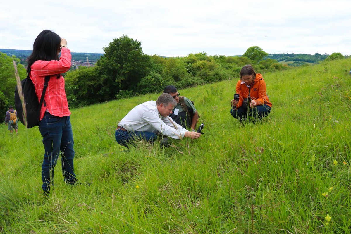 LrZandona's tweet photo. #Fieldtrip #IUCNORCHIDSPECIALISTGROUP #IOCCVII #Conservation #Endangeredspecies #OrchidsConservation @michaelffay60 https://t.co/lGISzqGsHm