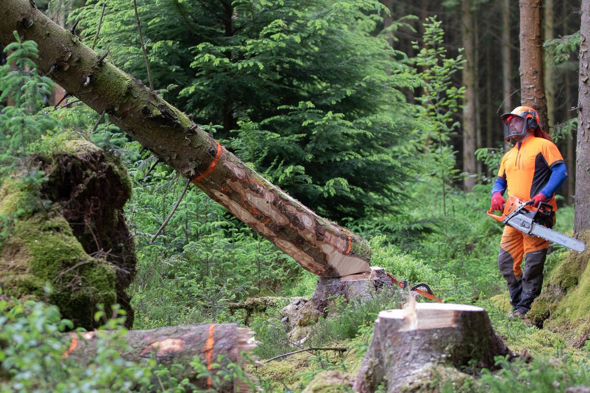 Darren Laurie tweet media