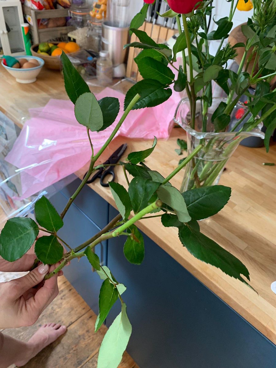 M S A Twitter Sorry To Hear This Happened Sarah Please Can You Send A Photo Of Your Receipt Or A Copy Of The Barcode Number Along With Your Email Address So