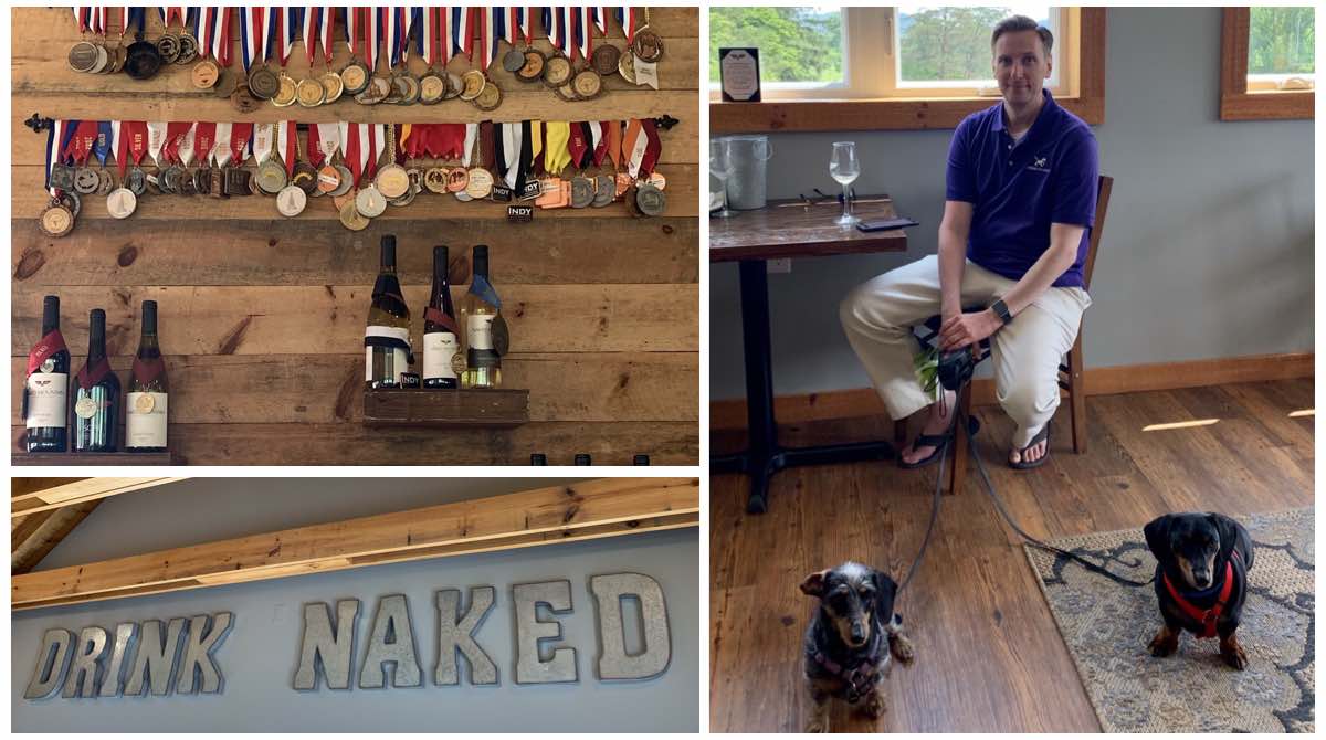 Read about Cork Hounds newest mascot Tango's first ever dog-friendly vineyard trip to <a href="/nakedmtnwinery/">Naked Mtn Winery</a>  blog.corkhounds.com/2019/06/02/blo…
