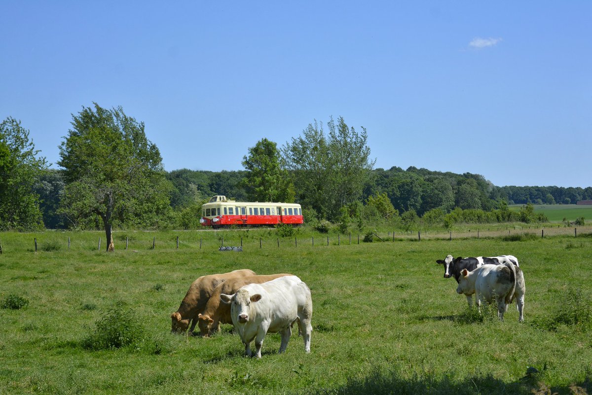 railpikture's tweet photo. Bonjour à tous !
En ce début d'après-midi, passage très bucolique dans la Vallée-de-l'Aisne à Fontenelle-en-Brie (02) de l'#X3926 "Picasso" sauvegardé par le #TFBCO sur l'une des marches hebdomadaires reliant Montmirail à Artonges.
À bientôt ! https://t.co/geM3GulRH7