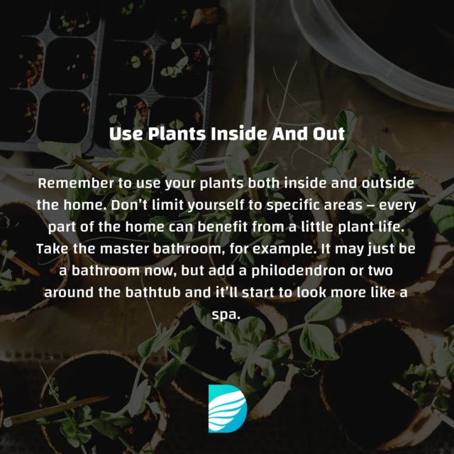 el_designers's tweet photo. Here are some tip on using #plants in your #InteriorDesign or #HomeDecor. 
Read the full article on https://t.co/jkpUnKG6II https://t.co/nNj6W1bO9I