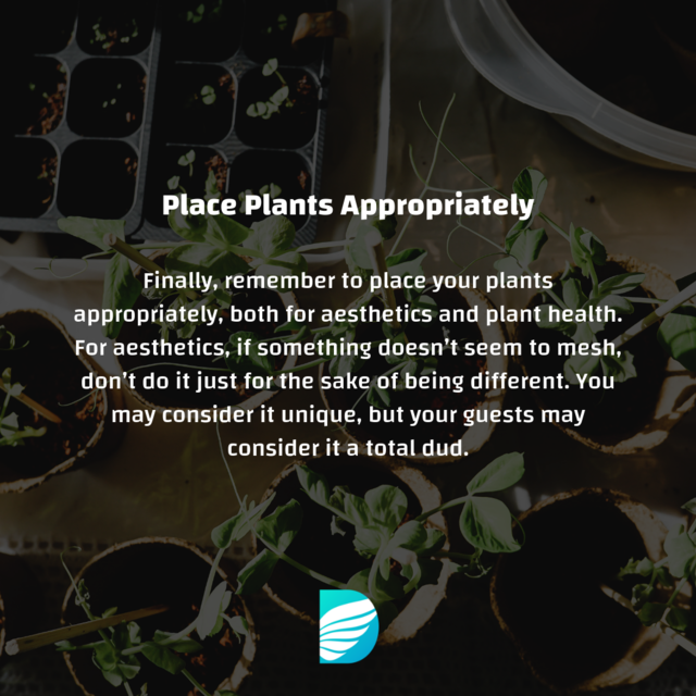 el_designers's tweet photo. Here are some tip on using #plants in your #InteriorDesign or #HomeDecor. 
Read the full article on https://t.co/jkpUnKG6II https://t.co/nNj6W1bO9I