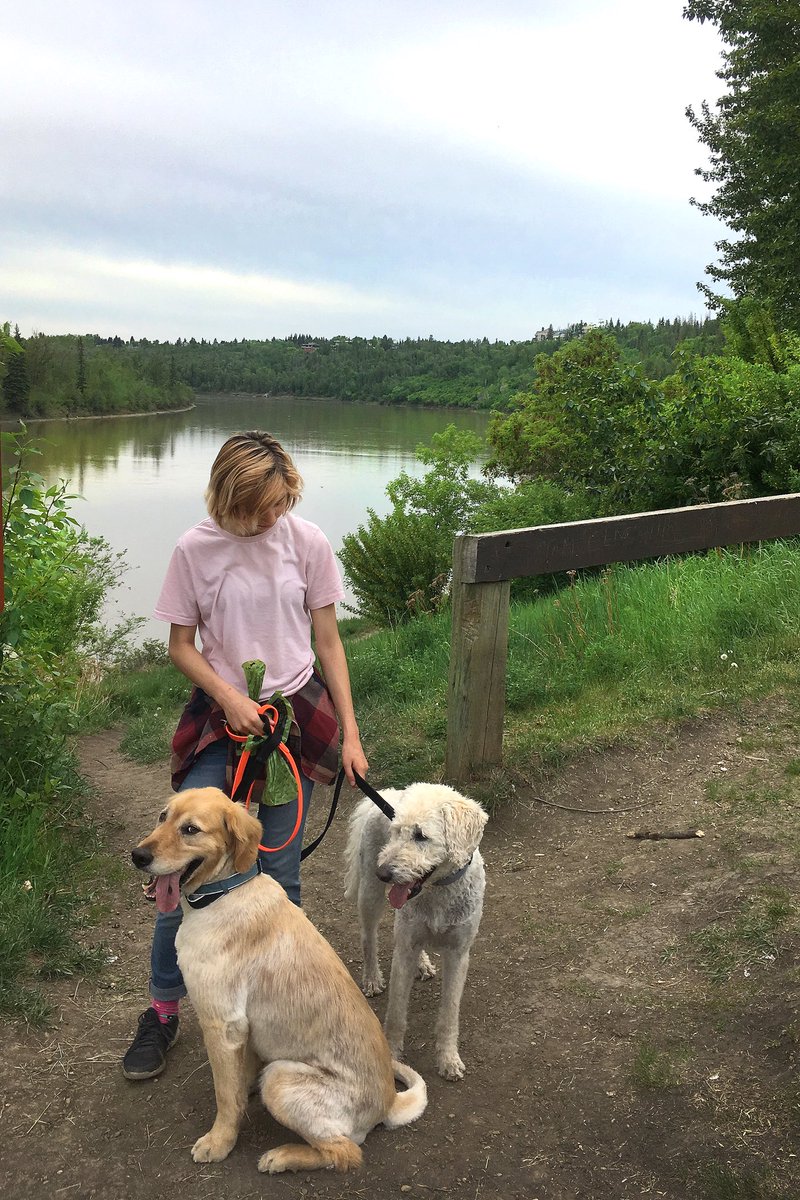 Such a glorious afternoon for a huge ravine/river valley adventure with sweet pooches we are taking care of. #yegwx #yeg #rivervalley #dogsofyeg