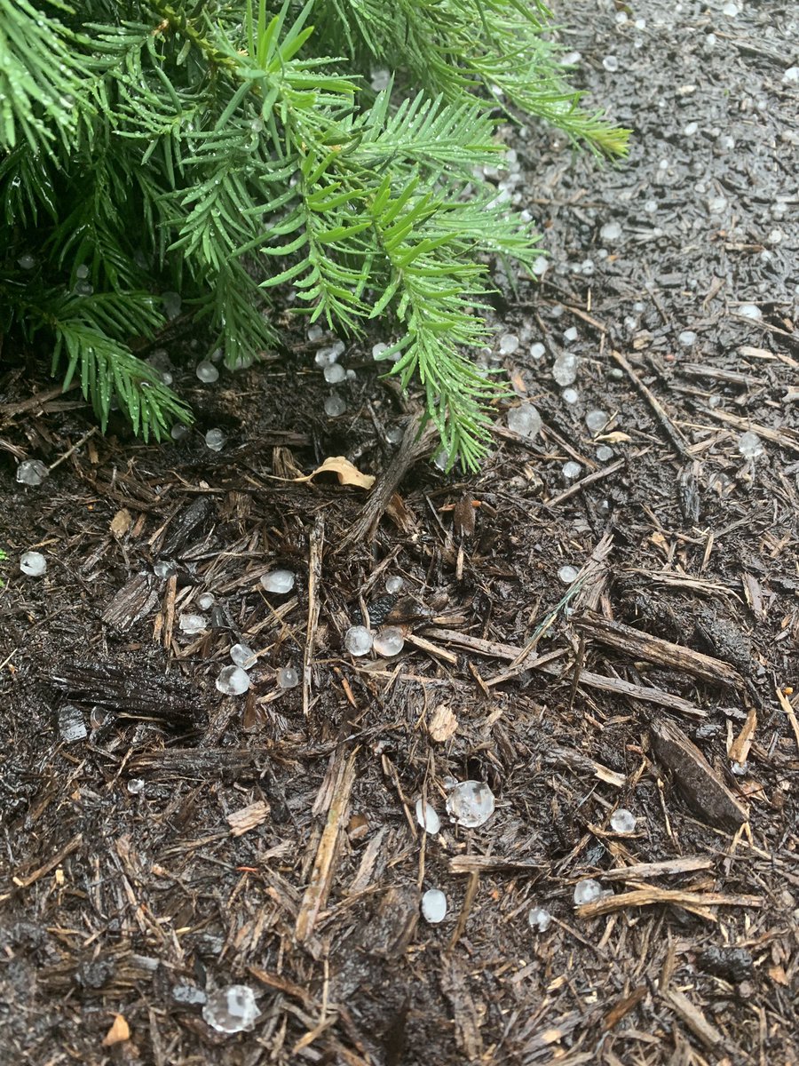tfries14's tweet photo. Got some pea to dime size hail in Enola, PA at about 6:30 pm as a small cell developed nearby! @NWSStateCollege https://t.co/vmAOZV0gM8