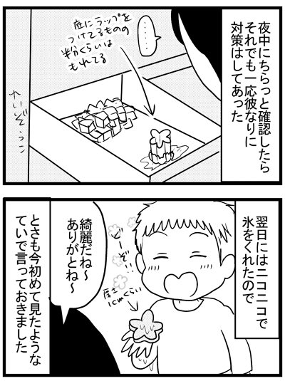 謎の氷の実験とやら 