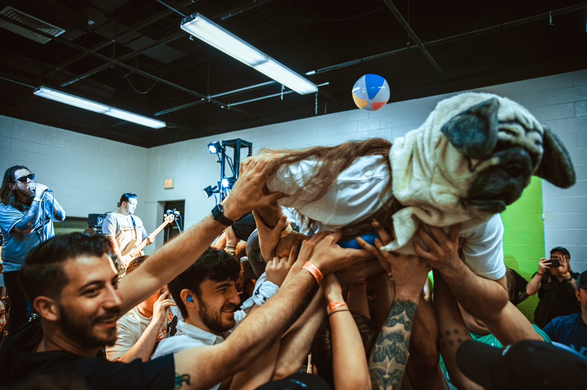 bledfest tweet picture