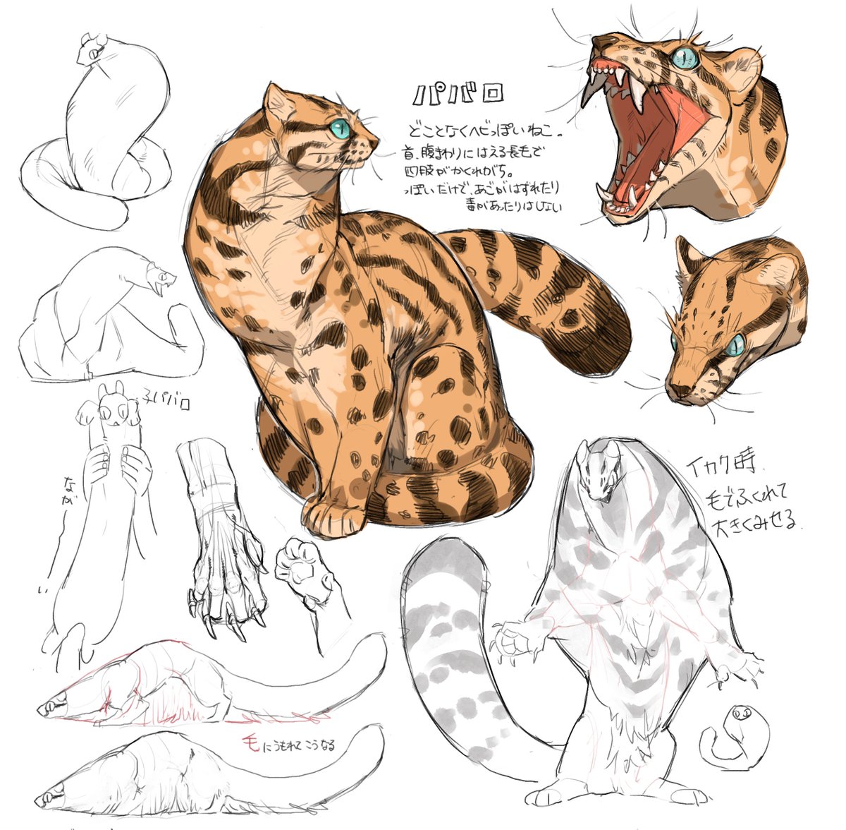 パバロ
どことなく蛇っぽいねこ 
