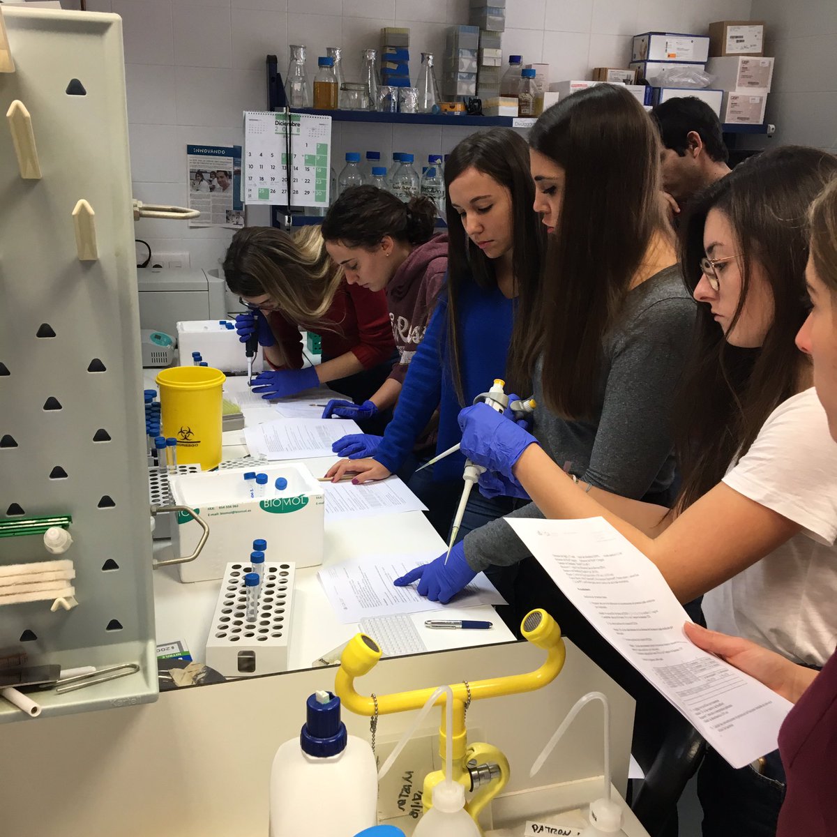 BioMedUCA's tweet photo. Conoces el #Máster en #Biomedicina de la #Universidad de #Cádiz? 
Cumple 10 años desde su 1ra edición con casi 200 egresados 🏆🙂
Está dirigido a alumnos con #Licenciatura o #Grado en #Biología, #Bioquímica, #Biotecnología, #Farmacia, #Medicina, #Veterinaria, #Química... https://t.co/6K7VWljasW