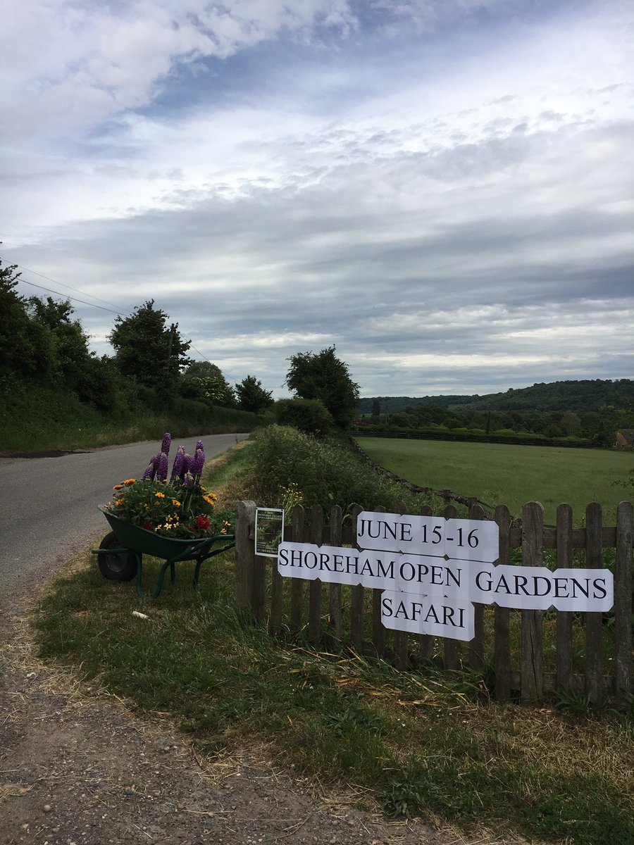 Shoreham Open Gardens Safari tweet media