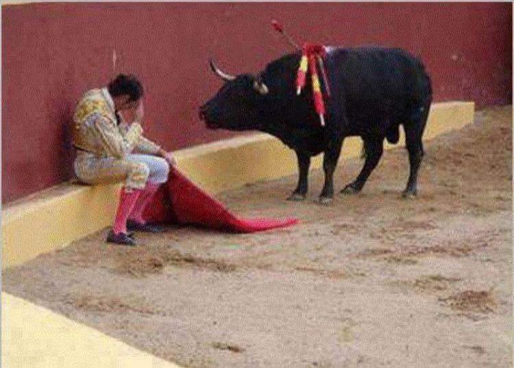 " Durante una corrida, il matador si è sentito male, ha avuto le vertigini
 e si è dovuto sedere.
Il toro si è fermato accanto a lui, senza ricorrere ad alcuna violenza.
Domanda : dopo tutto, chi è l'animale"?