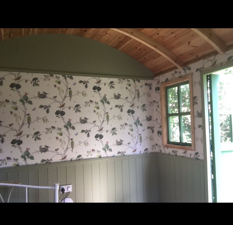 paint_decfemale's tweet photo. #Female decorator #surrey #femaledecorator #leatherhead #ladydecorator #femalepainter #wallpaper #sanderson #sandersonwallpaper #woodlandchorus #woodlandwalk #shepherdshut #valspa #greenwillow @sanderson1860 @valsparpaint https://t.co/KmM5UsGtDf