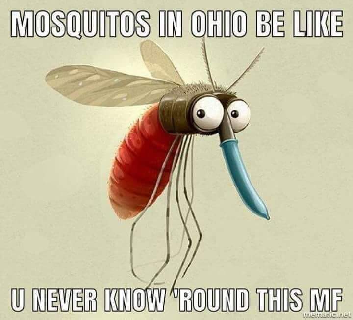 OhioConquer's tweet image. 