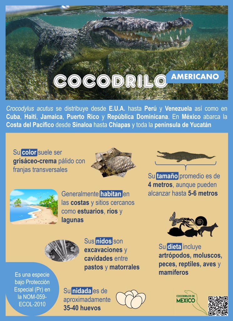 Revista Latinoamericana de Herpetología on Twitter: 